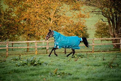 Horseware Amigo Bravo 1200D Plus Pferdedecke 400g Grün 6'3 140 cm – Bild 1 von 3