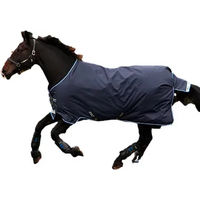 Produktbild von Horseware Amigo Bravo Outdoor-Pferdedecke aus Polyester in Blau