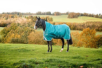 Produktbild von Horseware Amigo Bravo Pferdedecke Storm Green Medium - 250 g