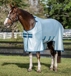 Horseware Amigo Bug Buster Fliegendecke für Pferde Azure Blue/Navy & Electric Blue 155 cm – Bild 1 von 3