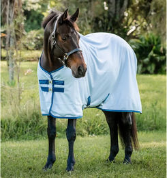 Horseware Amigo Bug Fliegendecke für Pferde Blau Weiß – Bild 1 von 2