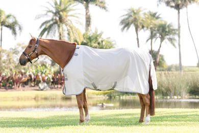 Horseware Amigo Bug Rug Fliegendecke für Pferde ohne Halsteil Silber Grau 130 – Bild 1 von 8