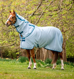 Horseware Amigo Bug Rug Fliegendecke für Ponys in Azure Blue/Navy & Electric Blue, 75 cm – Bild 1 von 7
