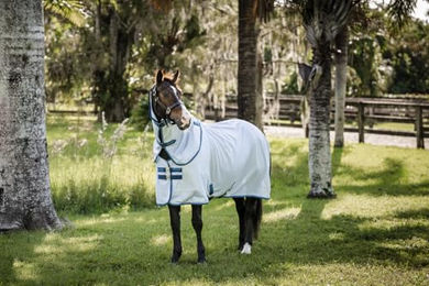 Produktbild von Horseware Amigo Bug Rug XL Plus Insektenschutzdecke für Pferde in Blau