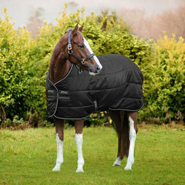 Horseware Amigo Diamond Insulator Pferdedecke aus Polyester in Grün Silber 140 cm – Bild 1 von 12