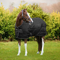 Produktbild von Horseware Amigo Diamond Insulator Pferdedecke aus Polyester in Grün Silber 140 cm