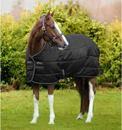 Horseware Amigo Diamond Insulator Stalldecke für Pferde Schwarz Silber - 1 Stk. – Bild 1 von 3