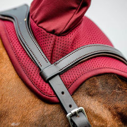 Horseware Amigo Ear Net für Warmblut aus Polyester in Schwarz und Rot – Bild 1 von 9