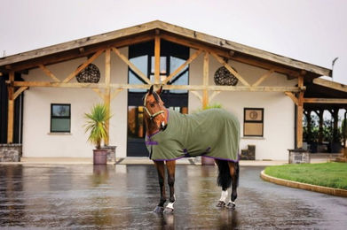 Horseware Amigo Fleece Cooler Pferdedecke Bramble/Winterberry 140 cm – Bild 1 von 6