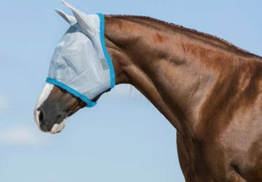 Horseware Amigo Fliegenmaske für Ponys in Baby Blue/Electric Blue aus Polyester – Bild 1 von 4