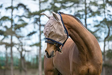 Produktbild von Horseware Amigo Fliegenmaske für Ponys in Bronze-Blau aus Polyester - 1 Stk.