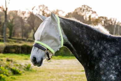 Horseware Amigo Fliegenmaske für Ponys Silber Grün aus Polyester – Bild 1 von 2