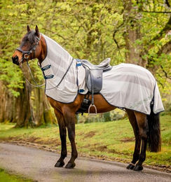 Horseware Amigo Flyrider Fliegendecke für Pferde in Blau-Weiß – Bild 1 von 4