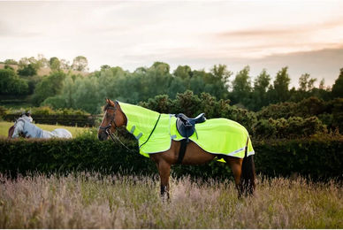 Horseware Amigo Flyrider Reflektierende Pferdedecke Gelb Größe S – Bild 1 von 4