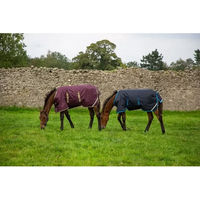 Produktbild von Horseware Amigo Foal Rug Outdoor-Decke für Fohlen in Blau aus Polyester