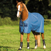 Produktbild von Horseware Amigo Hero 900 T/O Lite Outdoordecke für Pferde wasserdicht Colony Blue 160 cm