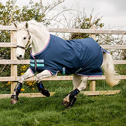 Horseware Amigo Hero 900 Turnout 200g Pony Outdoor-Decke – Bild 1 von 1