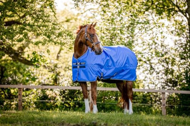 Horseware Amigo Hero Ripstop Lite Pferdedecke wasserdicht Blau Grau 4'9" – Bild 1 von 3