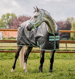 Horseware Amigo Hero Ripstop Pferdedecke aus Polyester 160cm Shadow Blue Haze Navy Grau – Bild 1 von 6