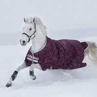 Produktbild von Horseware Amigo Hero Ripstop Pferdedecke aus Polyester in Silber/Lila 125 cm - 1 Stk.
