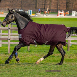 Horseware Amigo Hero Ripstop Pferdedecke mit Fleece-Futter 50g Fig – Bild 1 von 1
