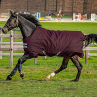 Produktbild von Horseware Amigo Hero Ripstop Pferdedecke mit Fleece-Futter 50g Fig