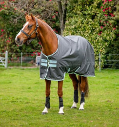 Horseware Amigo Hero Ripstop Pferdedecke mit Fleecefutter in Blau oder Grau – Bild 1 von 7