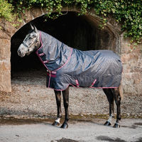 Produktbild von Horseware Amigo Hero Ripstop Plus Lite Pferdedecke aus Polyester