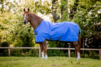 Produktbild von Horseware Amigo Hero Ripstop Weidedecke für Pferde Blau