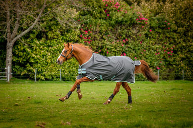 Produktbild von Horseware Amigo Hero Ripstop Weidedecke für Pferde mit 50g Fleece-Futter in Grau