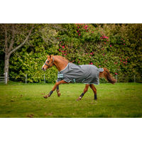 Produktbild von Horseware Amigo Hero Ripstop Weidedecke für Pferde mit 50g Fleece-Futter in Grau