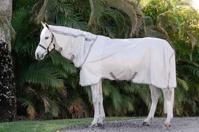 Horseware Amigo Integrated Fliegendecke für Pferde Silber Grau Weiß Größe 115 – Bild 1 von 3