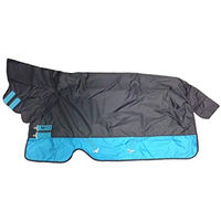 Produktbild von Horseware Amigo Mio All-In-One Winterdecke für Pferde Schwarz Türkis Medium - 200 g