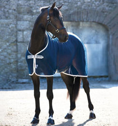 Produktbild von Horseware Amigo Net Cooler Fliegendecke für Pferde in Blau