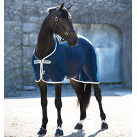 Produktbild von Horseware Amigo Net Cooler Sommerfliegendecke für Pferde in Blau aus Polyester