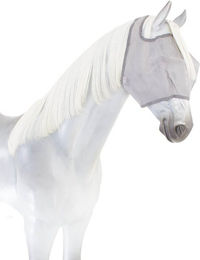 Horseware Amigo No Ears Fliegenmaske für Pferde aus Baumwolle in Grau/Silber – Bild 1 von 2