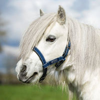 Produktbild von Horseware Amigo Petite Headcollar Pony Halfter Navy/Silber