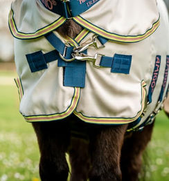 Horseware Amigo Petite Ripstop Fliegendecke mit Kapuze für Ponys – Bild 1 von 6