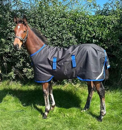 Horseware Amigo Ripstop 900D Fohlendecke Weidedecke mit 200g Füllung Schwarz/Classic Blue Größe 4'6 – Bild 1 von 4