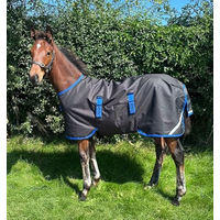 Produktbild von Horseware Amigo Ripstop 900D Fohlendecke Weidedecke mit 200g Füllung Schwarz/Classic Blue Größe 4'6