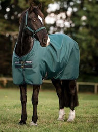 Horseware Amigo Ripstop 900D Lite 0g Pferdedecke Dynasty Green/Navy & Silver 155 cm / 6´9 – Bild 1 von 4
