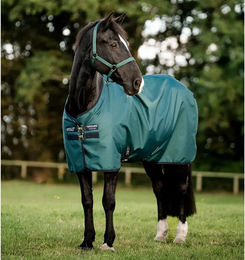 Horseware Amigo Ripstop 900D Outdoor-Decke für Ponys mit 100g Füllung – Bild 1 von 11