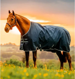 Produktbild von Horseware Amigo Ripstop 900D Outdoor-Decke für Ponys mit 200g Füllung