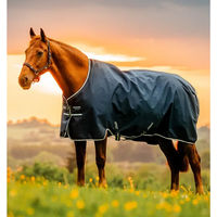 Produktbild von Horseware Amigo Ripstop 900D Outdoor-Decke für Ponys mit 200g Füllung
