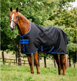 Horseware Amigo Ripstop 900D Outdoor-Pferdedecke mit 50g Fütterung Schwarz/Blau – Bild 1 von 3