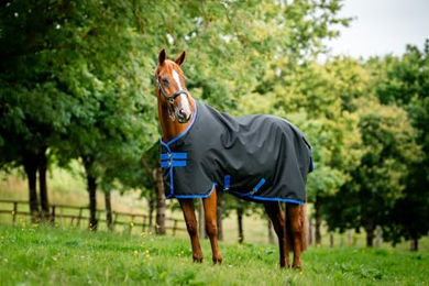 Horseware Amigo Ripstop 900D Outdoor-Pferdedecke mit Fleece-Futter 50g Schwarz/Blau – Bild 1 von 3