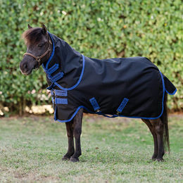 Horseware Amigo Ripstop 900D Petite Turnout Decke für Ponys mit 200g Füllung – Bild 1 von 4