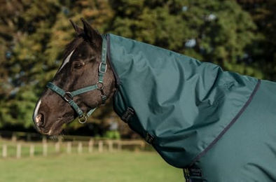 Horseware Amigo Ripstop 900D Pferdedecke mit Halsteil Dynasty Green/Navy & Silver Größe XL – Bild 1 von 2