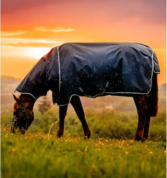 Produktbild von Horseware Amigo Ripstop 900D Plus Outdoor-Decke für Ponys mit 100g Füllung