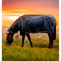 Produktbild von Horseware Amigo Ripstop 900D Plus Outdoor-Decke für Ponys mit 100g Füllung